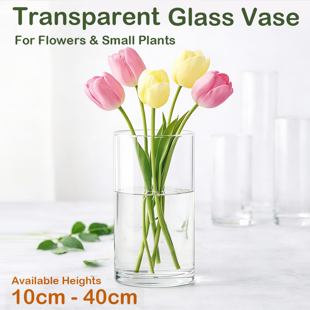 Clear Glass Cylinder Flower Vase Transparent Decorative Vase for Table, Living Room Home Decor