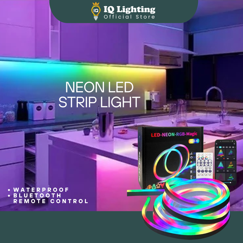 READY STOCK  RGBIC 5M USB Charging Interface 5V RGBIC Home Decorative Light Neon Flexible Light Car 