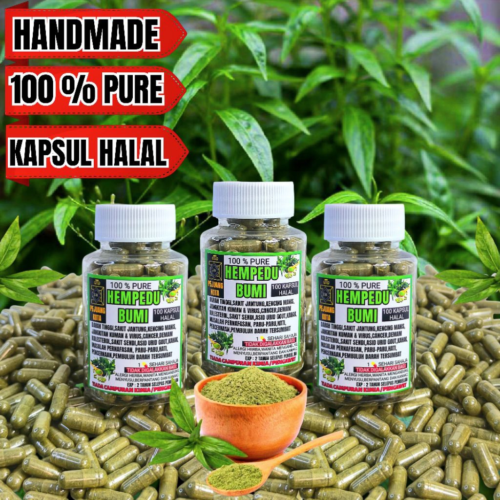 Kapsul hempedu bumi original 100 biji Handmade,king of bitter,Androgaphis Paniculata by Pejuang kota