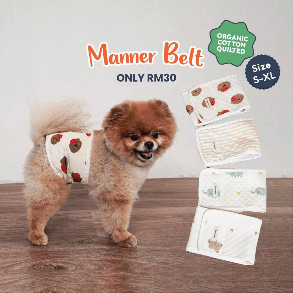 Ruff Pets Club x Pawlovin | Manner Belt for Dogs (Organic Cotton Quilted)