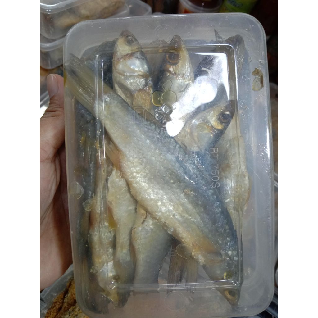 1 bekas ikan belanak masam