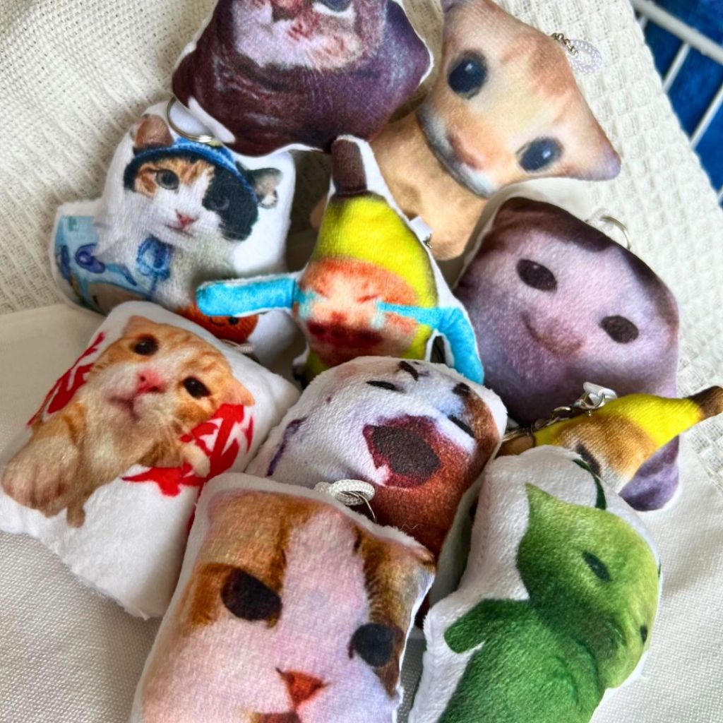 Meme Cat Plush Keychain With Sound Hajimi Cute Funny Spinning German Alien Green Cat 发声猫咪匙扣挂件哈基米