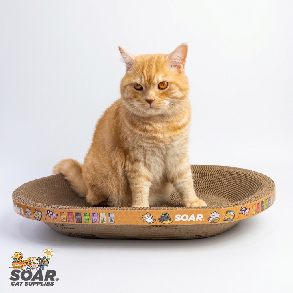 SOAR.OS Cat Scratcher Board Corrugated Paper Eco-Friendly Design