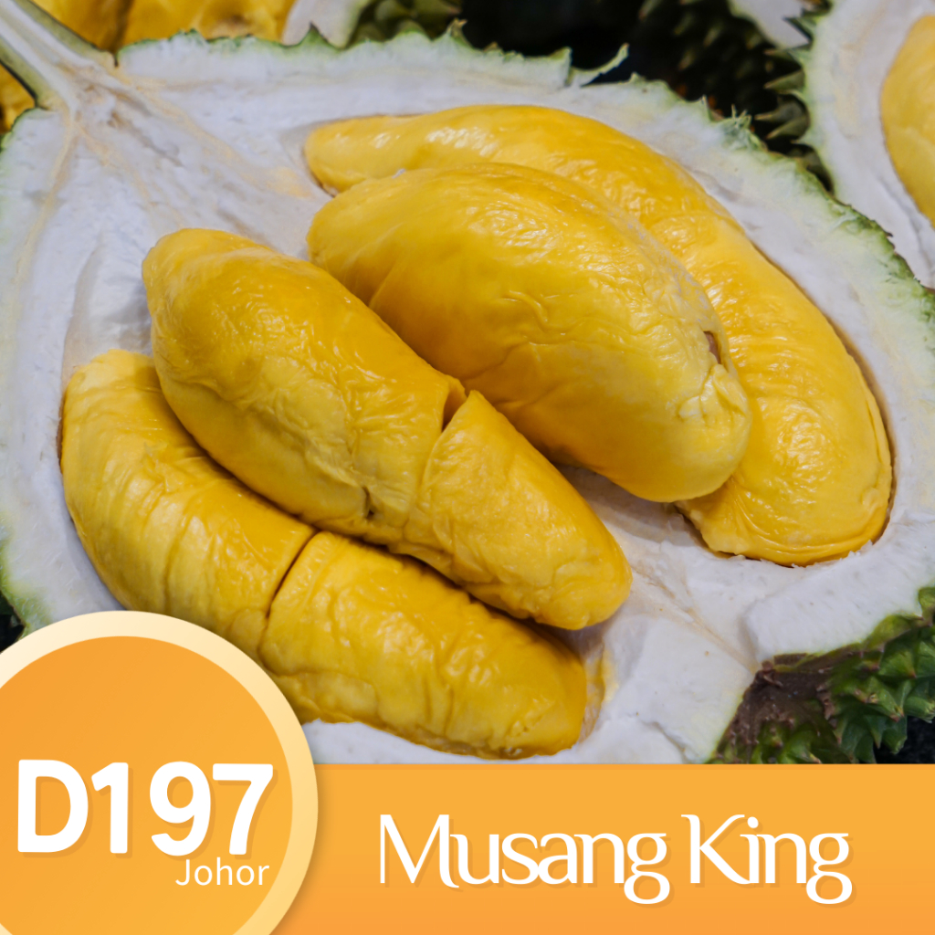 【Ready Stock】300gm Fresh Musang King Durain pulp | Vacuum seal | 新鲜猫山王果肉
