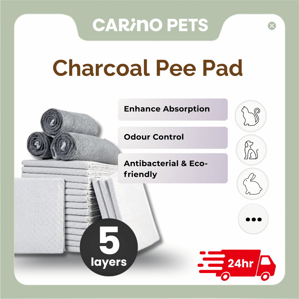 [24HR SHIP] PREMIUM CHARCOAL PET PEE PAD Wee Wee Pad Pet Pad Sheet Dog Training Pad Cat Rabbit Pet Diaper Toilet 猫狗 宠物尿片