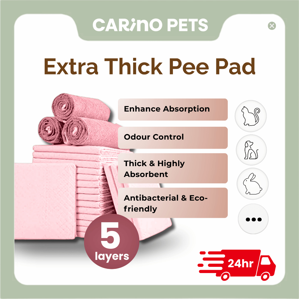 [24HR SHIP] 5-LAYERS EXTRA THICK PET PEE PAD Wee Wee Pad Pet Pad Sheet Dog Training Pad Cat Rabbit Pet Diaper 猫狗 宠物尿片