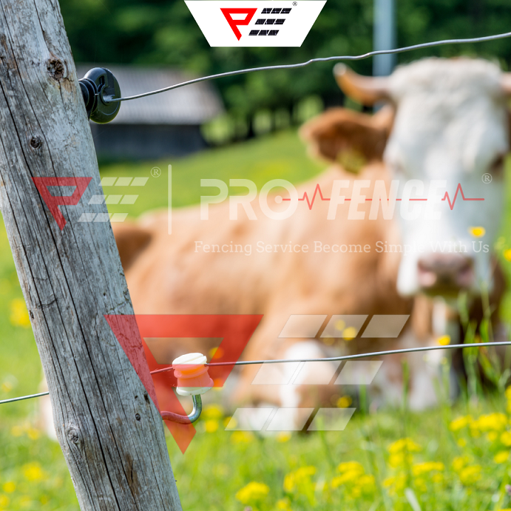 Pro Fence P20 Set Polywire for 0.5-7 Acre Electric Fence Set Pagar Elektrik Set Solar Profence Fence Energizer Ibu Pagar