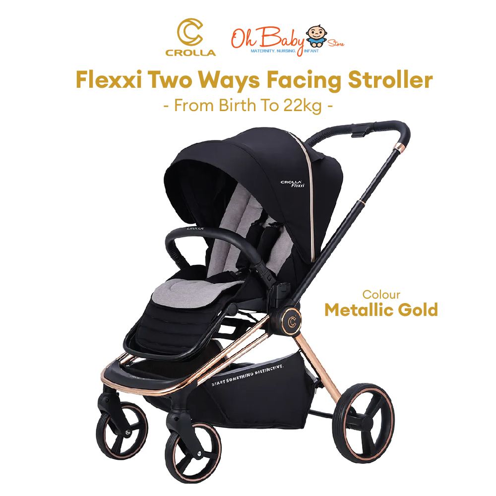 2 way best sale facing pushchair