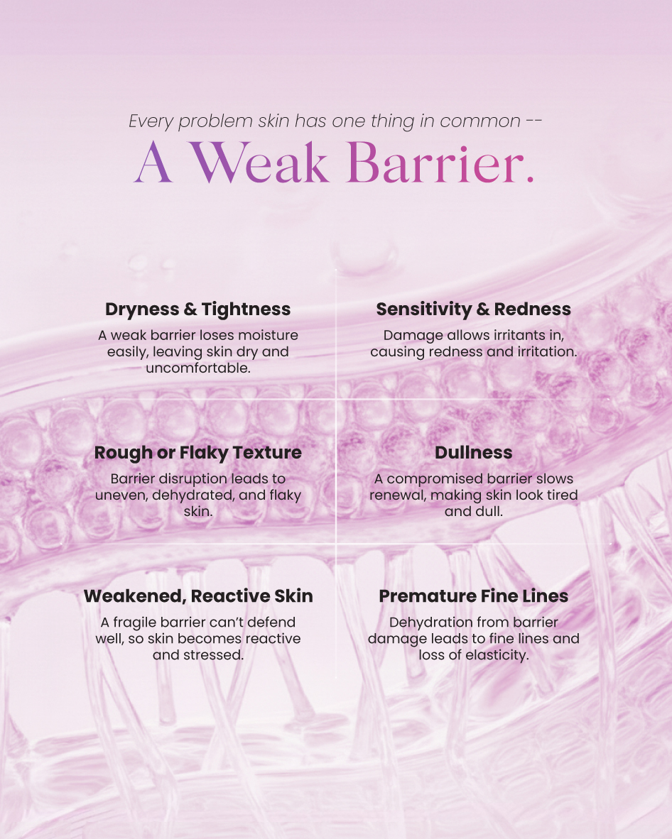 My 11134208 820lh Mh1bxs0yvtan15