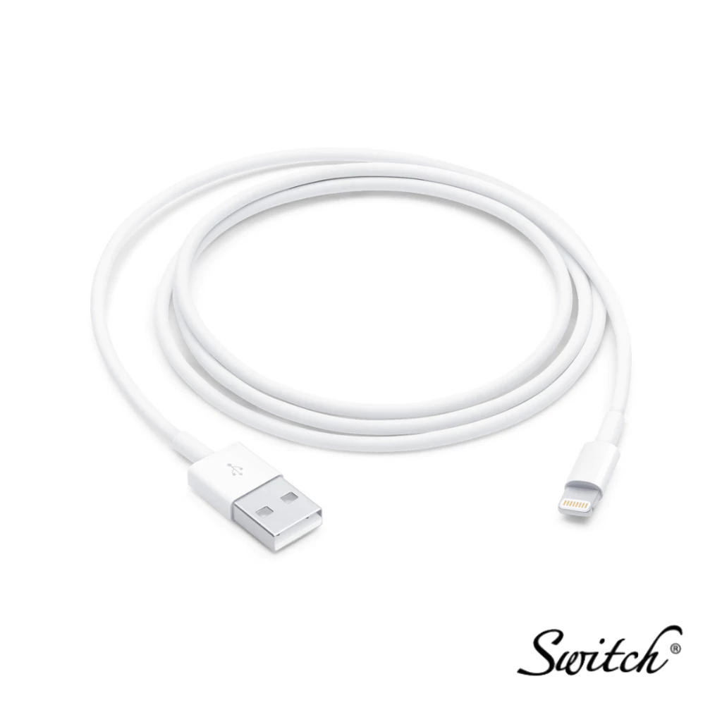 Apple Lightning to USB Cable (1 m)