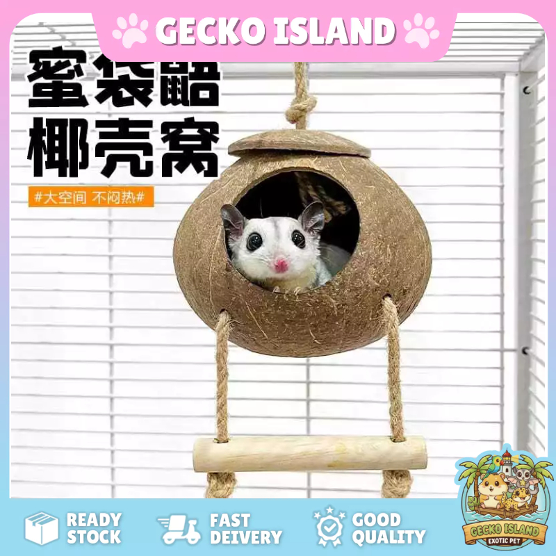 Sugar Glider Hideout Handcrafted Coconut Shell Nesting Hideaway for Small Pets