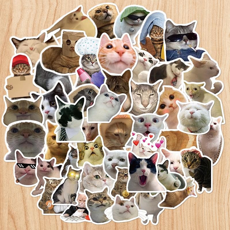 50pcs Funny Cat & Dog Meme Waterproof Stickers