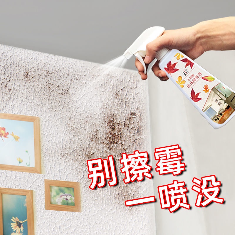 Wall Mildew Remover Spot Cleaner Glass Adhesive Strip Washing Machine