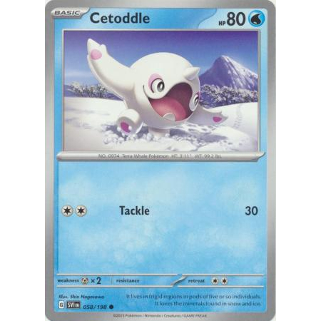 Cetoddle - 058/198 - Common | Pokemon Trading Card Game