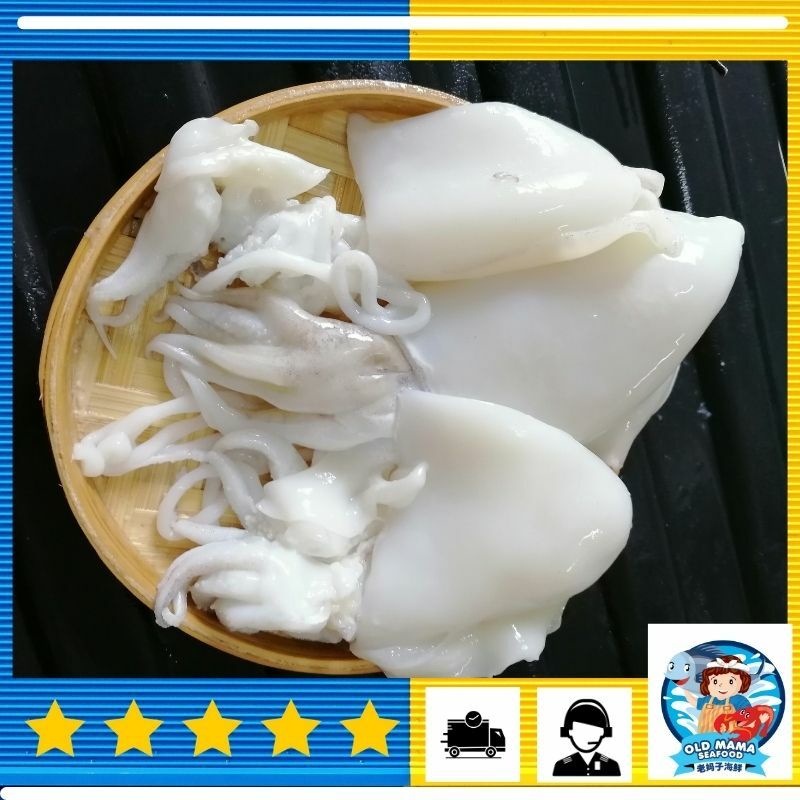 Sekinchan Big Cuttle Fish / 适耕庄大木斗肉干净 (200/300) 500gm Sotong Katak Seafood Delivery - Old Mama Seafood