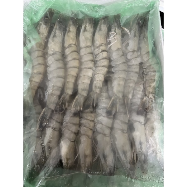 <<PENANG ONLY>> Tiger Prawn Size L/老虎虾 L 1kg