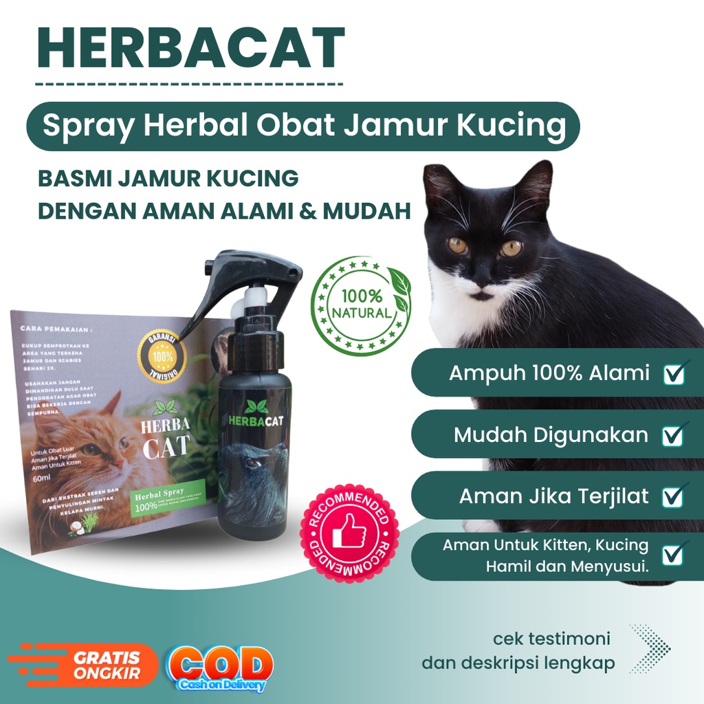 Scabies Cat Mushroom Medicine Herbacat Spray Effective And Natural Safe