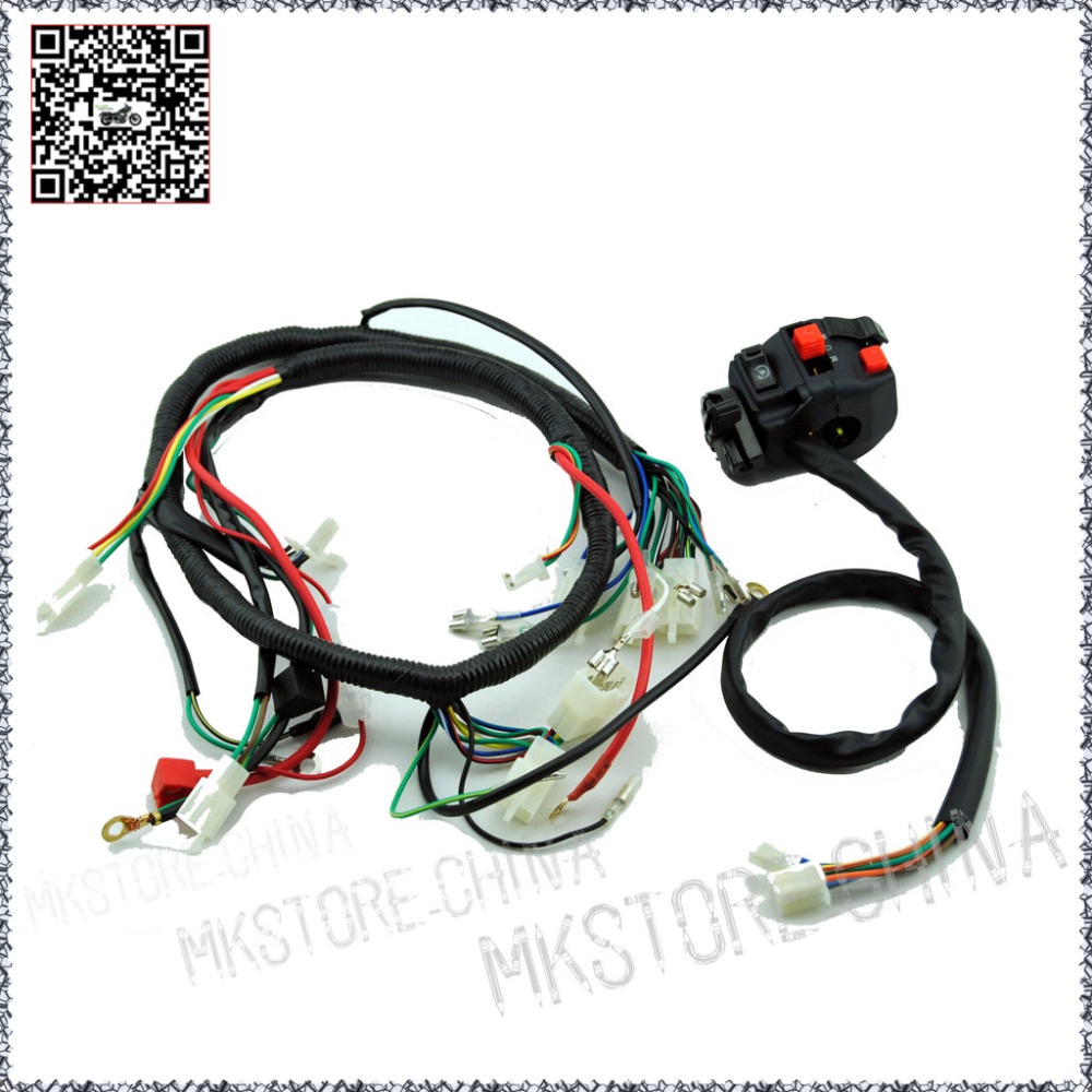 250CC+SWITCH QUAD WIRING HARNESS 200 250cc Chinese Electric start for ...