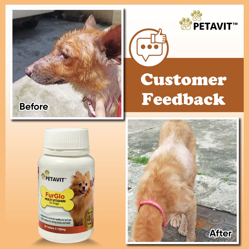 Furglo Heal Furkids Skin Multivitamin DHA & Calcium Tablets for Dog (100  Tablets) | Shopee Malaysia