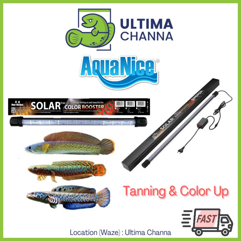 Aquanice NeoHelios Solar Color Booster 1ft 1.5ft 2ft Submersible