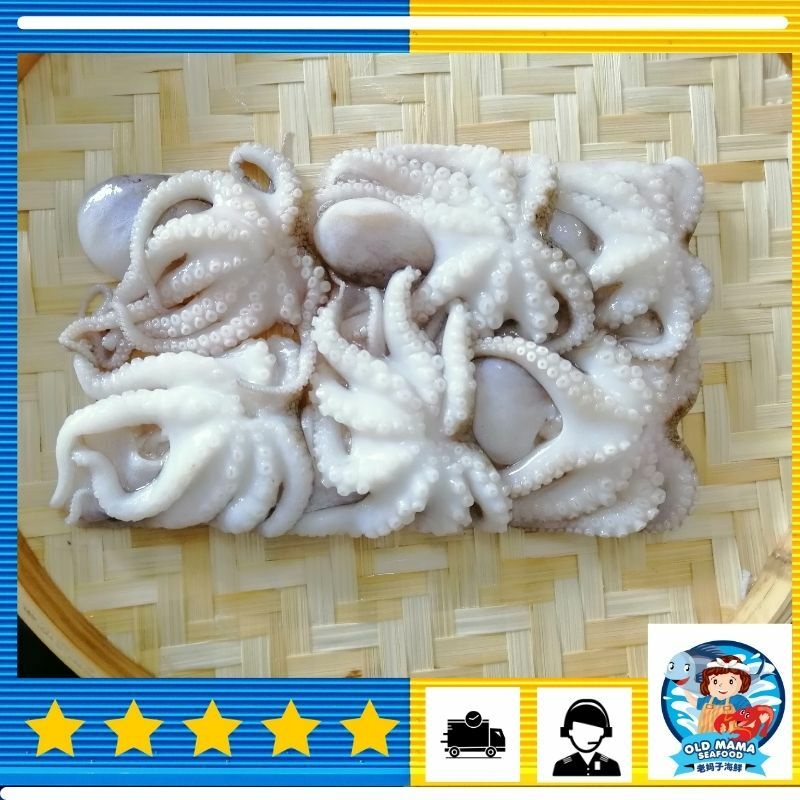 Sungai Besar Baby Octopus / 大港小八爪鱼干净 (250gm/pk) Sotong Goreng Fresh Seafood - Old Mama Seafood