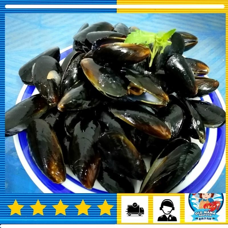 Chile Whole Shell Blue Mussel / 智利整粒蓝贝 (1kg/pk) Kerang Biru Seafood Delivery - Old Mama Seafood