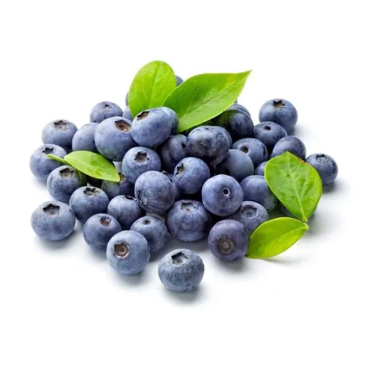 fresh blueberries Prices and Promotions Feb 2023 Shopee Malaysia