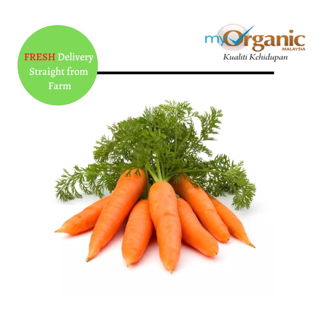 Organic Carrot Orange Cameron Highlands 500gm± 金马仑有机胡萝卜