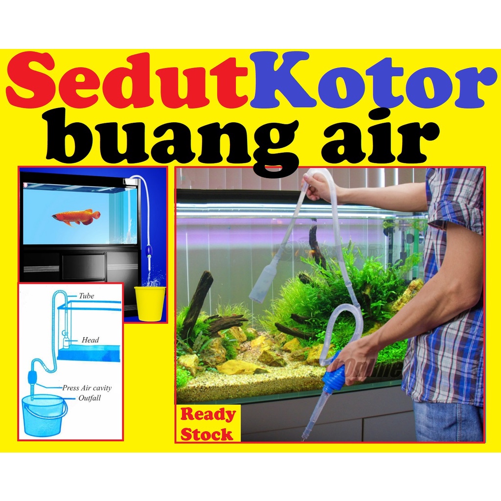 rocco and roxie gallon