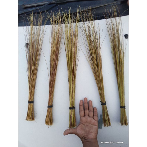 Penyapu lidi pokok kelapa Mini | Shopee Malaysia