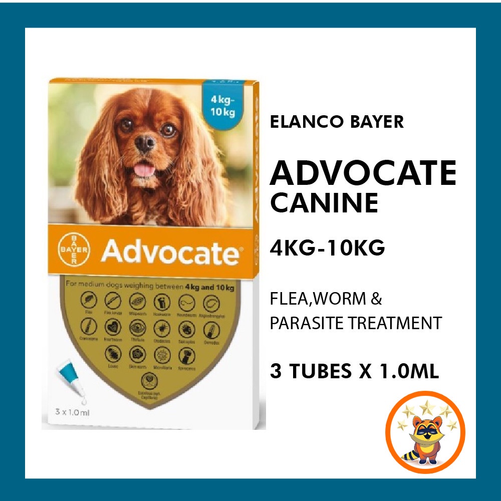 does advocate kill lungworm in dogs