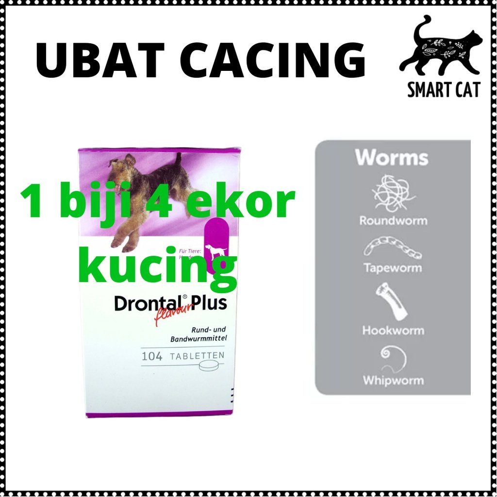 SGS Drontal Plus flavour ORIGINAL for Dog and Cat deworm tablets / ubat cacing kucing dan anjing