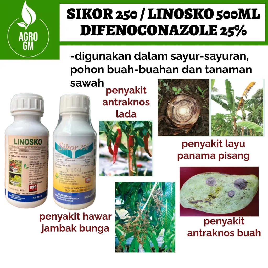 Linosko Sikor 250 500ml Racun Kulat Difenoconazole 25 Durian Pisang