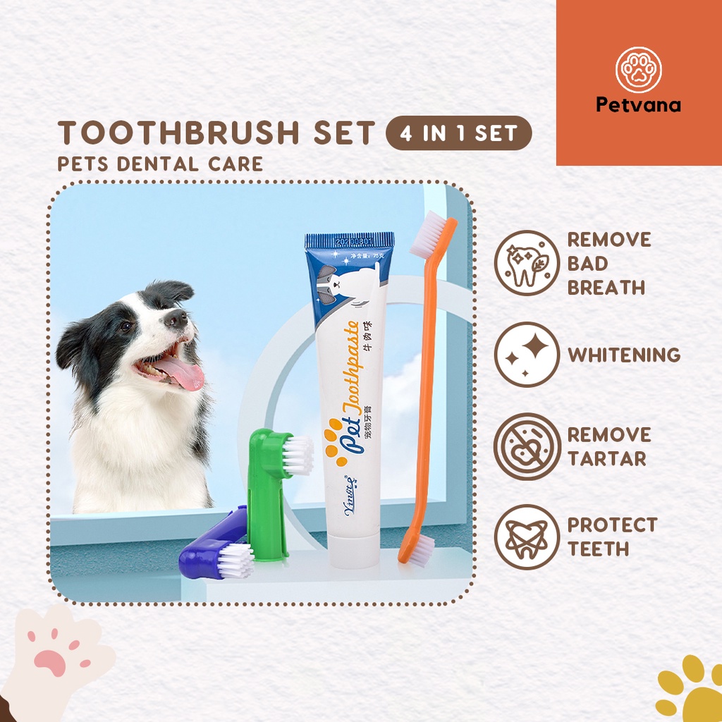 Pet Dental Care Set Toothpaste Finger Toothbrush Dog Cat Pet Oral ...