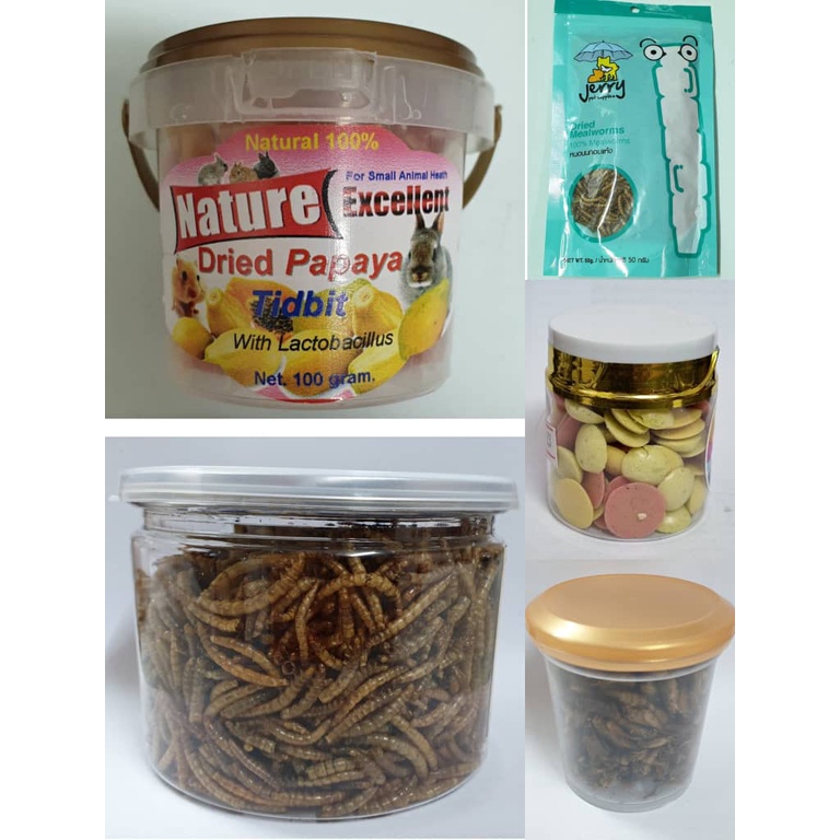 Glider Treats Nature Dried Papaya / Mix Fruits / Dried Mealworms
