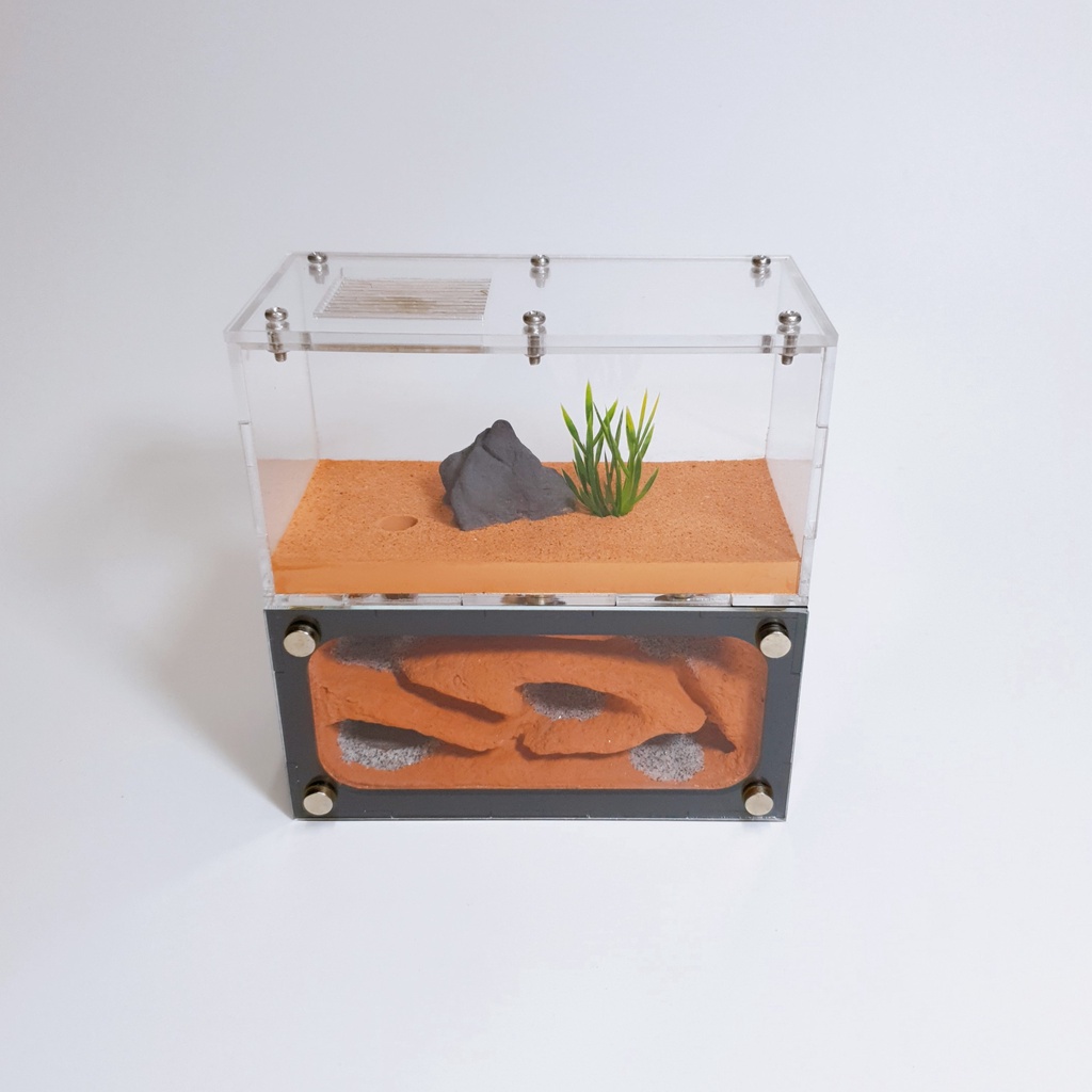 Ant Farm - The Cosy Underground Formicarium - Ant Keeping Ant Farm Ant ...