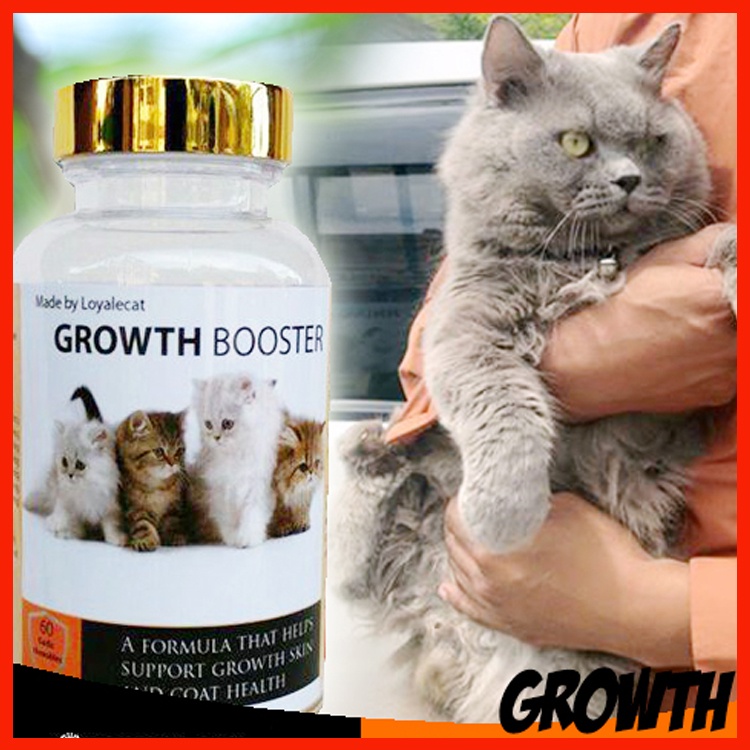 Vitamin Kucing Gemuk & Gebu Kucing Anda Cat Vitamin Cat Booster