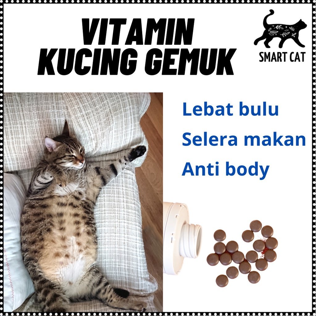 SGS MultiVitamin Supplement Vitamin Kucing untuk Kesihatan, Kecergasan