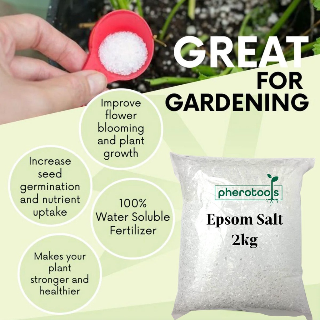 Epsom Salt (2KG) Organic Fertilizer Baja Organik(Magnesium Sulfate