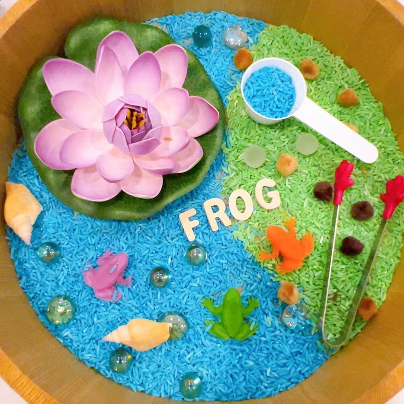 FROG SENSORY PLAY RICE PLAYSET | EARLY LEARNING EDUCATIONAL TOYS ...