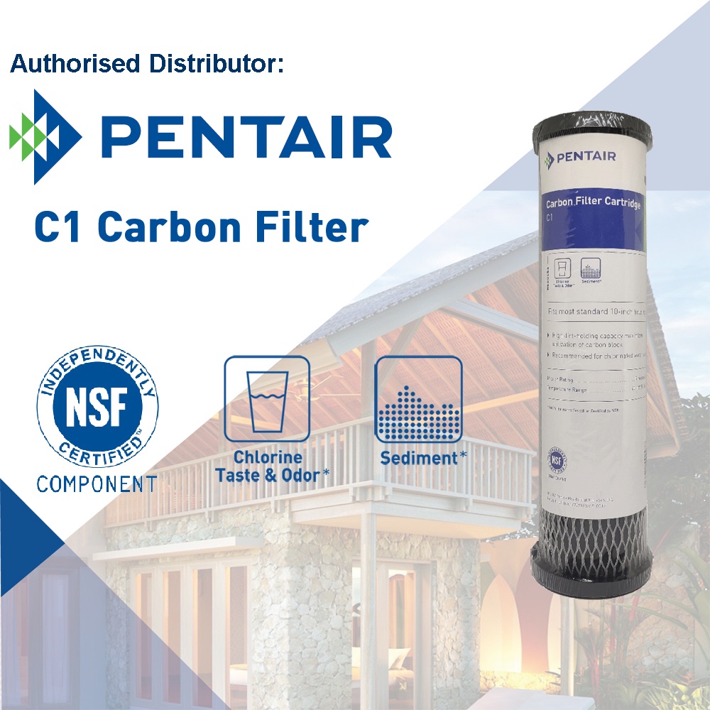 PENTAIR PENTEK C1 Carbon Filter Cartridge for Slim Line Water Filter