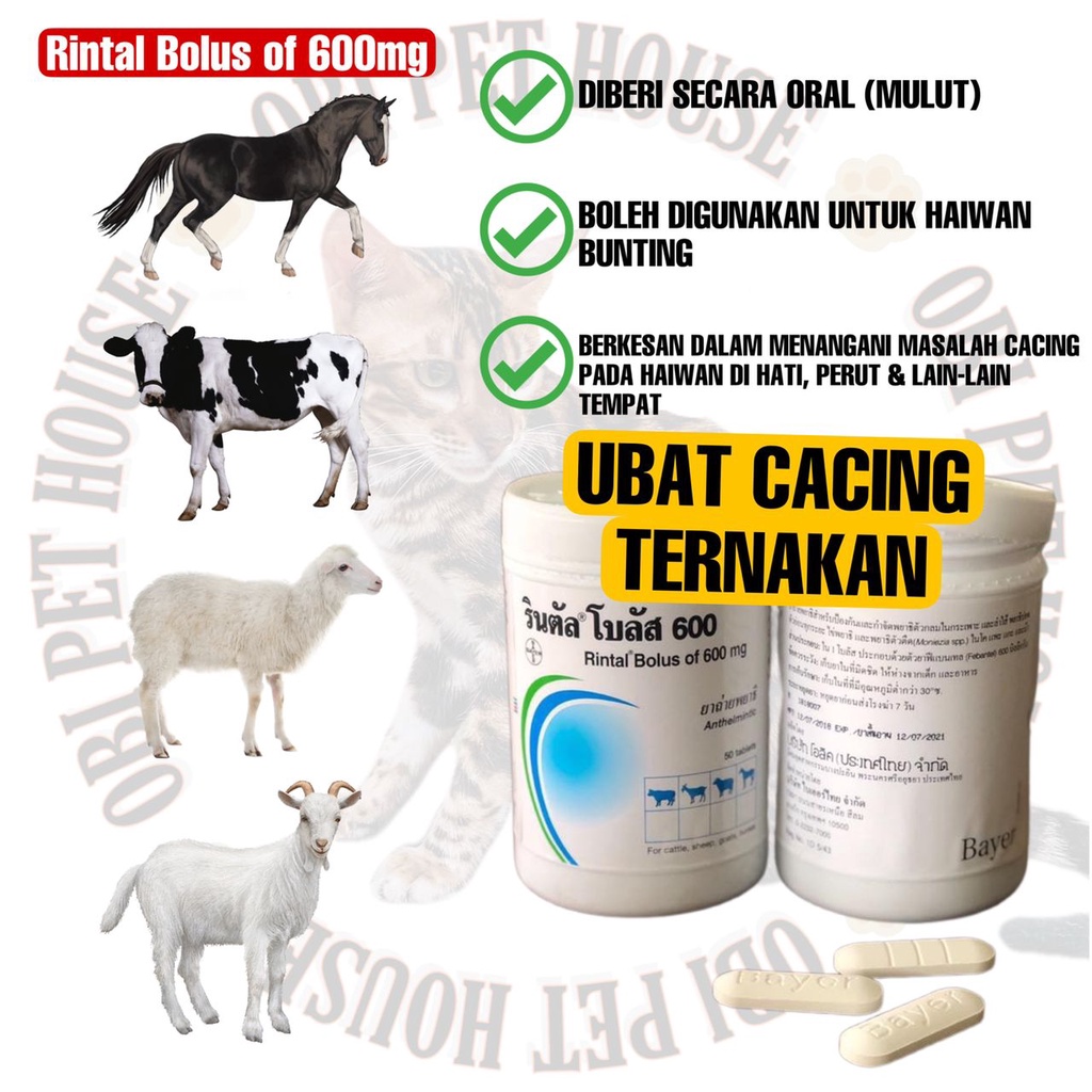 neurontin ubat apa
