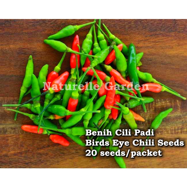 Benih Cili Padi Birds Eye Chili Seeds Benih Sayur Buah Vegetable Seed