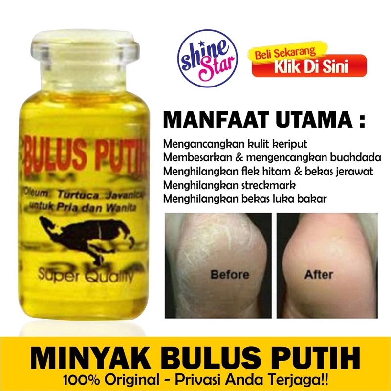 ORIGINAL ORIGINAL WHITE BULUS OIL FOR BREAST ENLARGEMENT