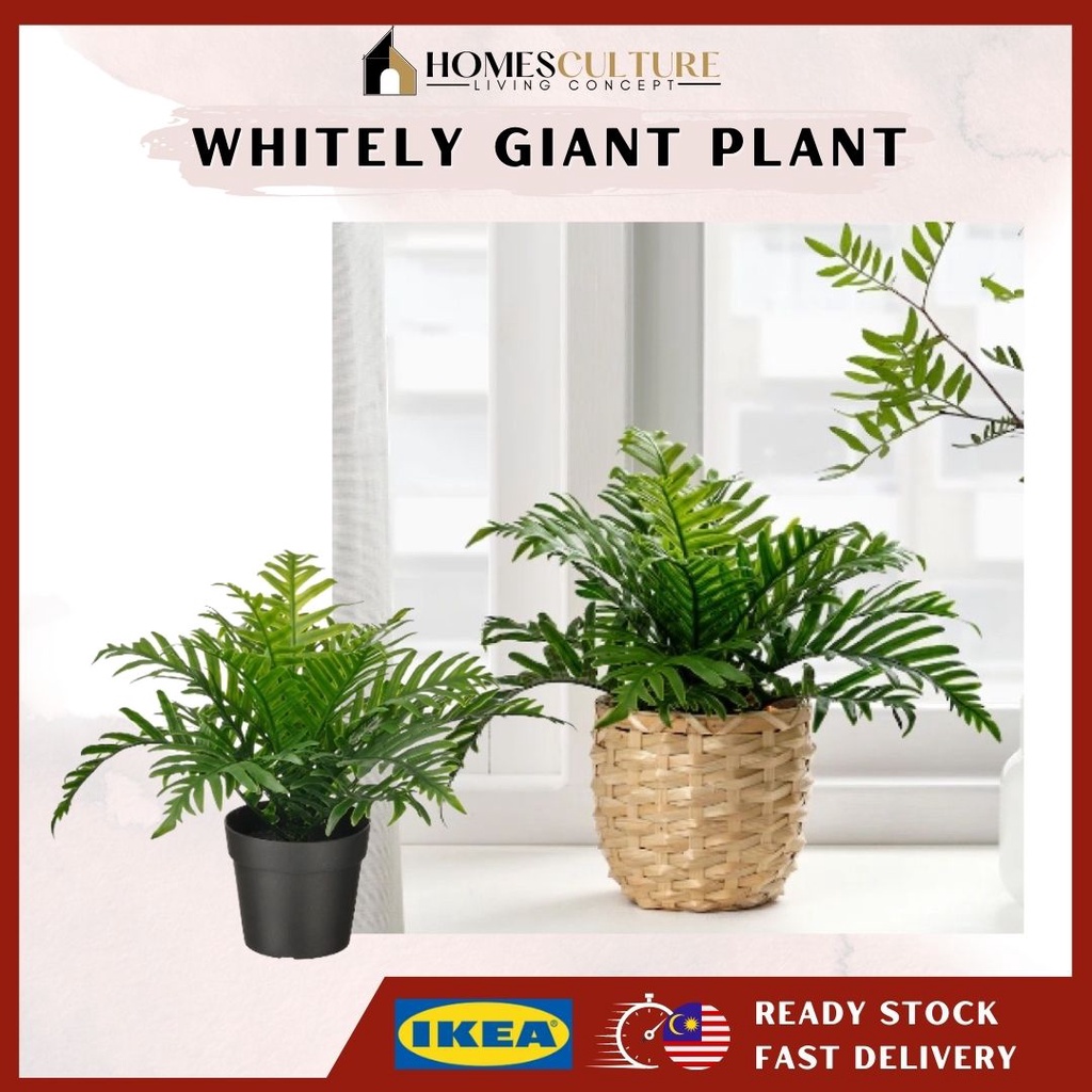 FEJKA Artificial Whitley Giant Green Potted Plant, 9cm Height Pokok