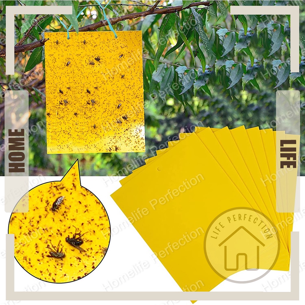 Double Sided Yellow Sticky Traps Fly Paper Flies Trap Insect Sticky Paper Flying Plant Insect Traps Pelekat Serangga