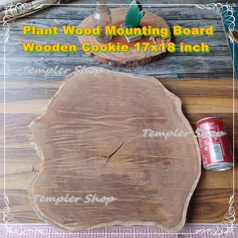 Plant Wood Mounting Board Log Cookie Natural Solid Wooden Block Mount Slab Media Nice Shape 17 x