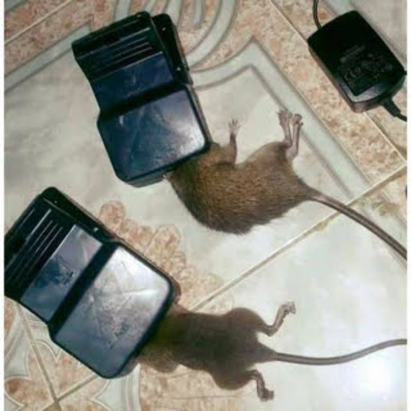 Super sensitive smart black mouse trap, crocodile jaw mouse trap