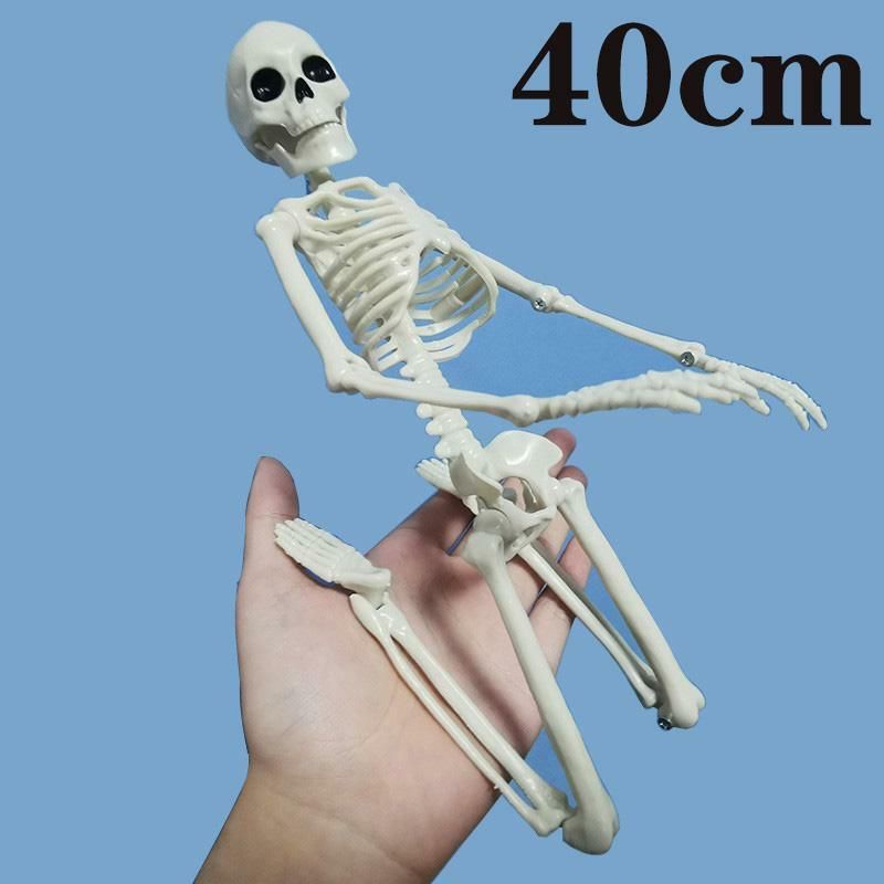 Active Human Skeleton Model Anatomy Medicine Learning Model Halloween Party Decoration Ready Stock