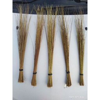 Penyapu lidi pokok kelapa Mini | Shopee Malaysia